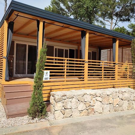 Mobile Home Agava บีโอกราดนาโมรู ภายนอก รูปภาพ